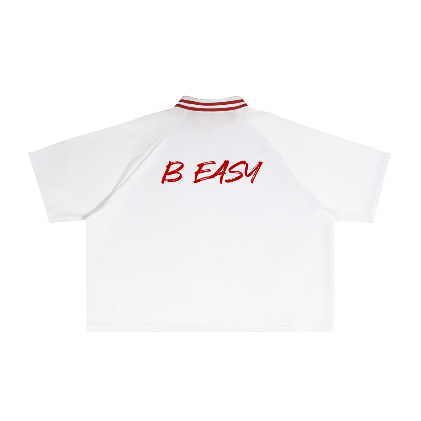 Contrast Lapel Collar Boxy T-Shirt